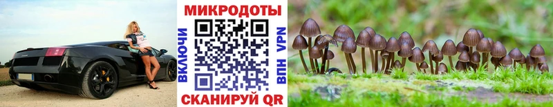 Галлюциногенные грибы мухоморы  даркнет состав  Стерлитамак 